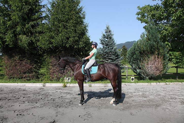 Rückwärtsrichten richtig reiten