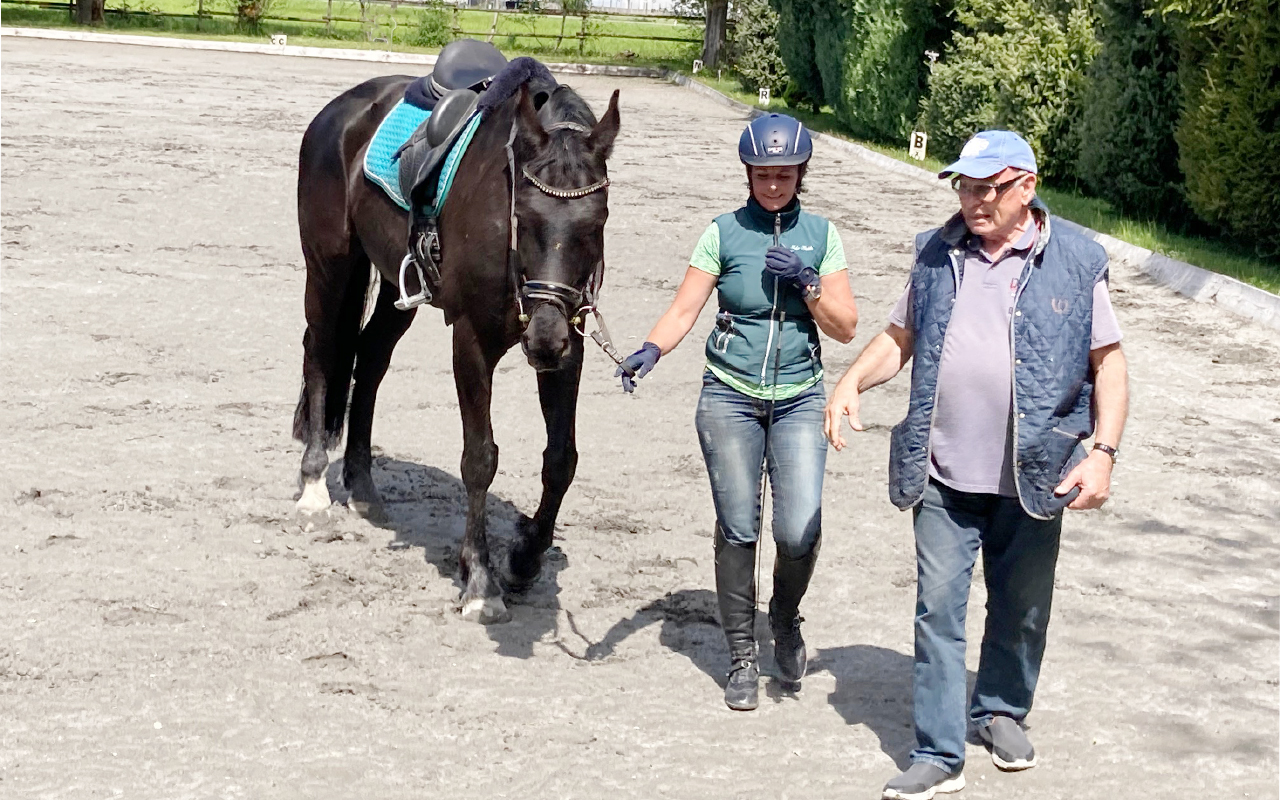 Team - Dressurlektionen richtig reiten
