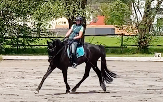 Volten richtig reiten